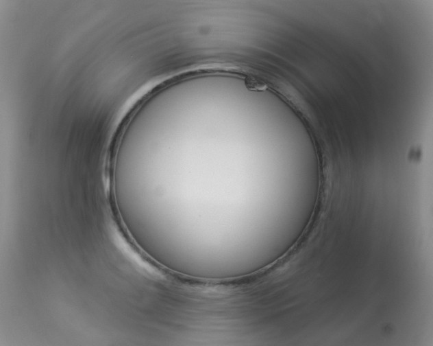 X0000113941084200909250934
