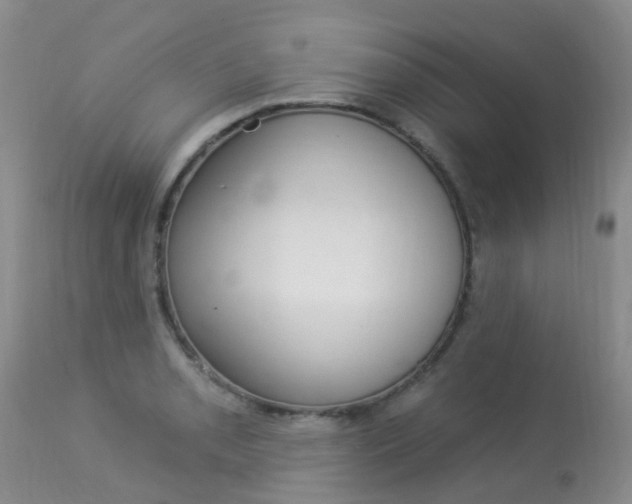 X0000113941085200909250934