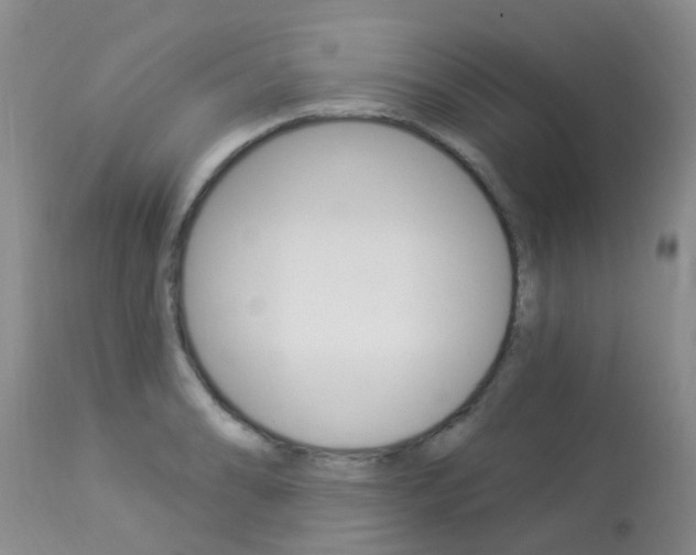 X0000113941086200909250934