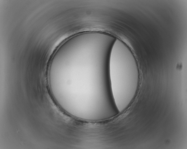 X0000113941087200909250934