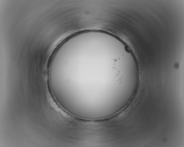 X0000113941088200909250934