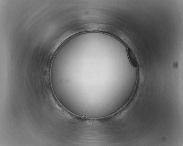 X0000113941089200909250934