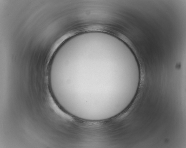 X0000113941090200909250933