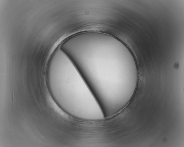 X0000113941091200909250933