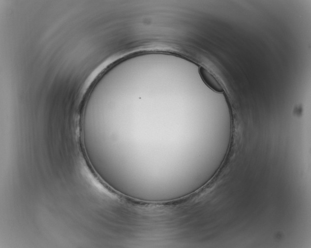 X0000113941092200909250933