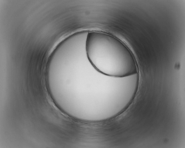 X0000113941093200909250933