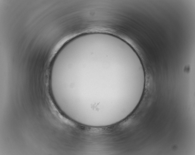 X0000113941094200909250933