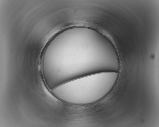 X0000113941095200909250933
