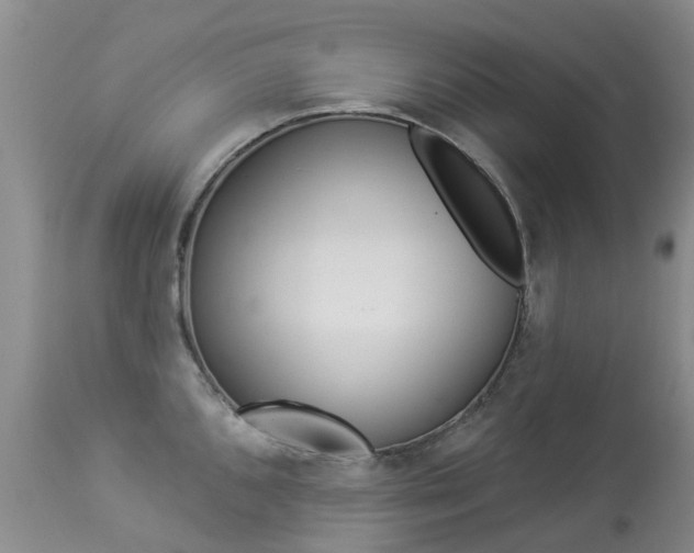 X0000113941096200909250933
