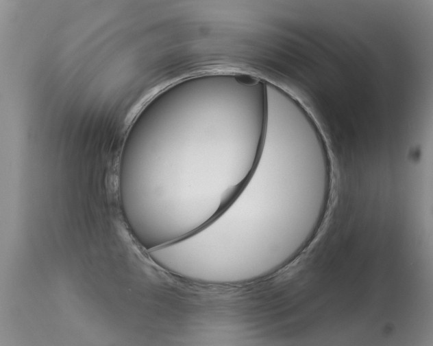 X0000113941097200909250933