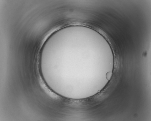 X0000113941098200909250933