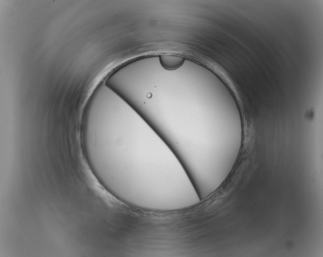 X0000113941099200909250933