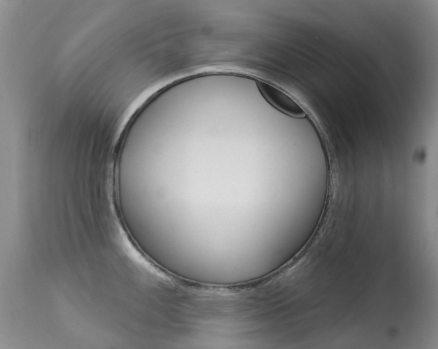 X0000113941100200909250933