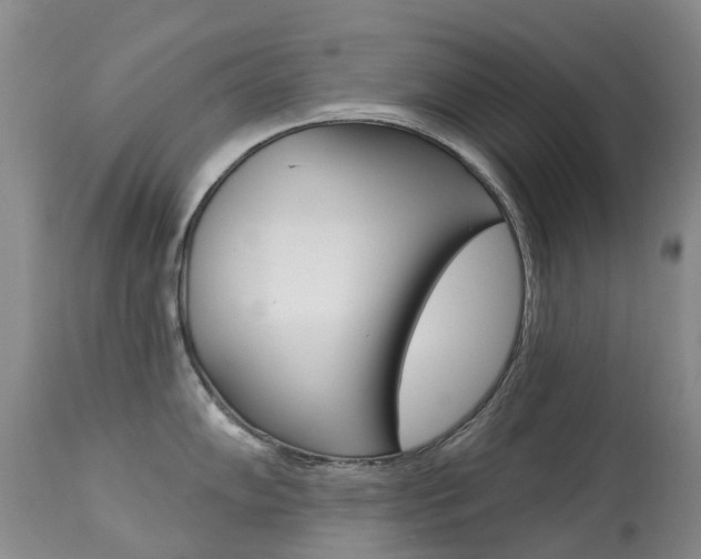 X0000113941102200909250933