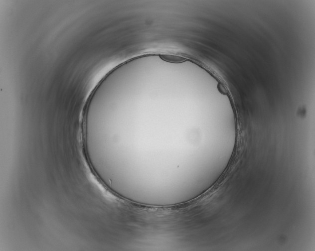 X0000113941103200909250933