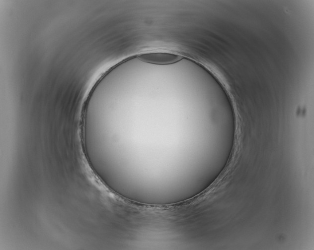 X0000113941104200909250933