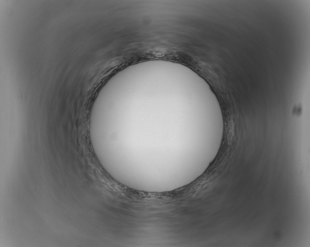 X0000113941105200909250933