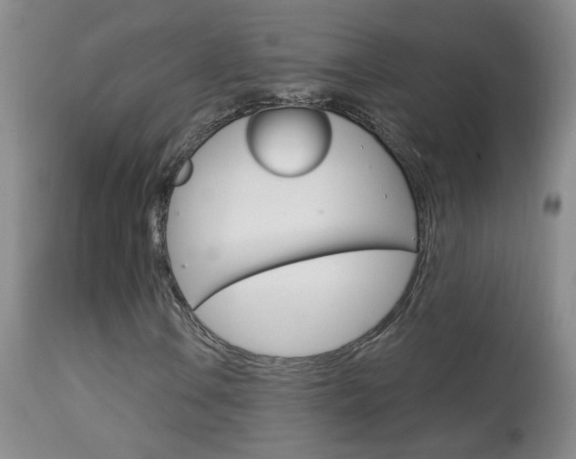 X0000113941106200909250933