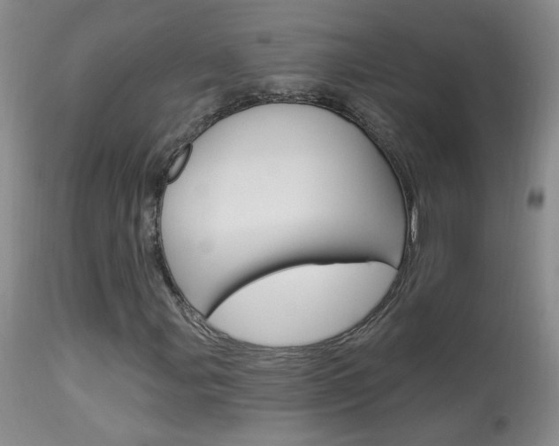 X0000113941107200909250933