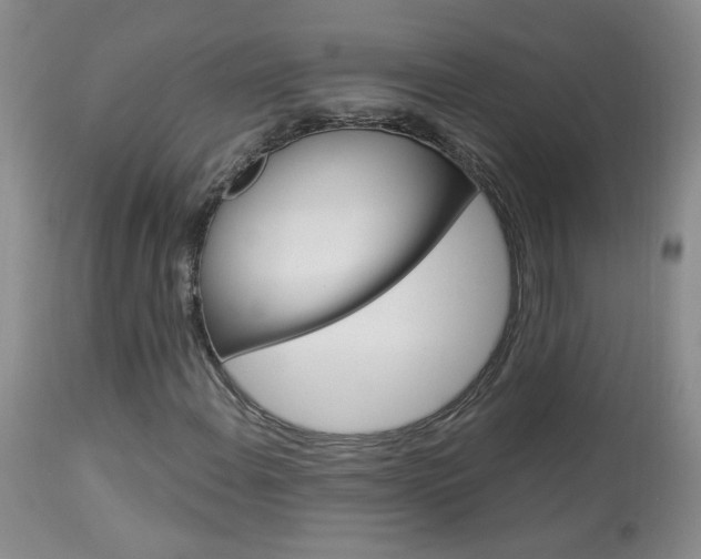 X0000113941108200909250933