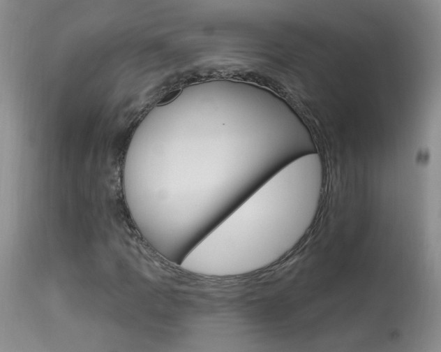 X0000113941109200909250933