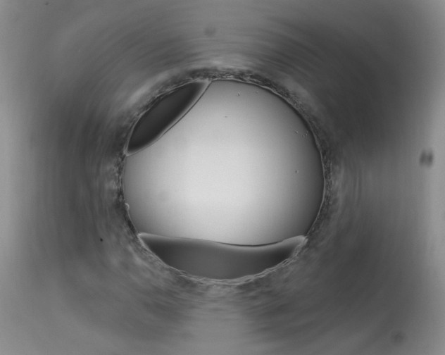 X0000113941110200909250933