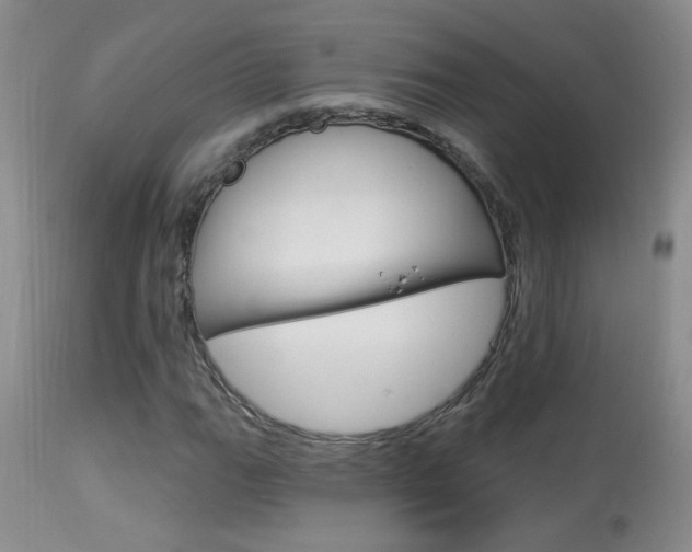 X0000113941111200909250933