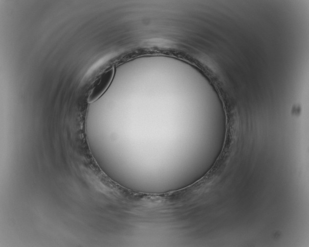 X0000113941112200909250933