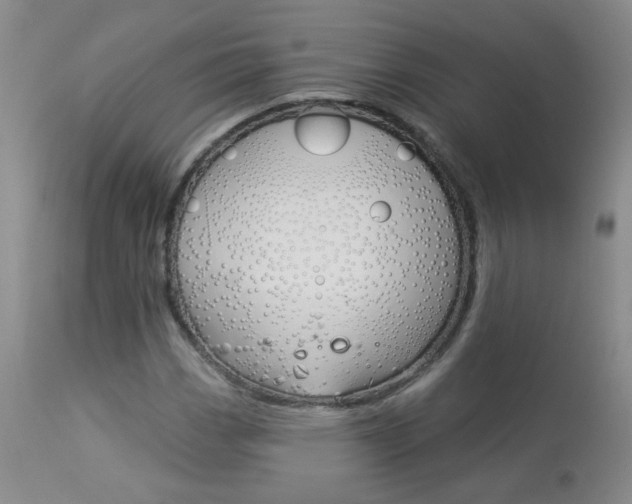 X0000113941113200909250933