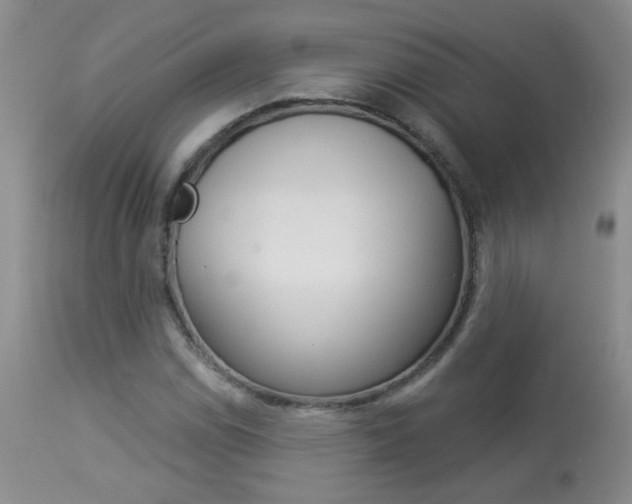 X0000113941114200909250933