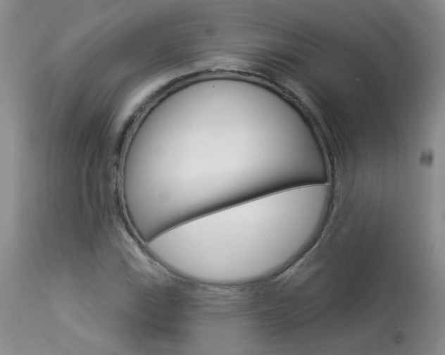 X0000113941115200909250933