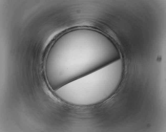 X0000113941116200909250933