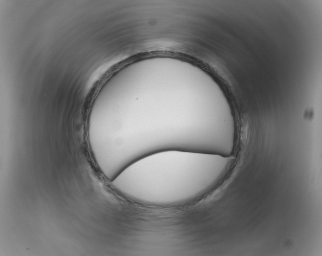 X0000113941117200909250933