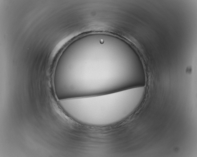 X0000113941120200909250933