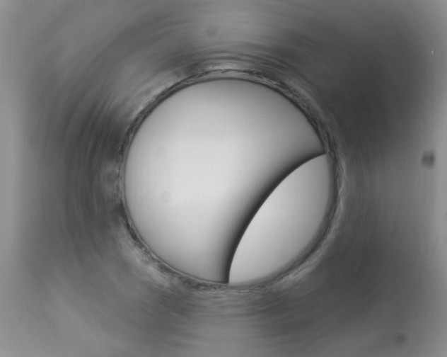 X0000113941121200909250933