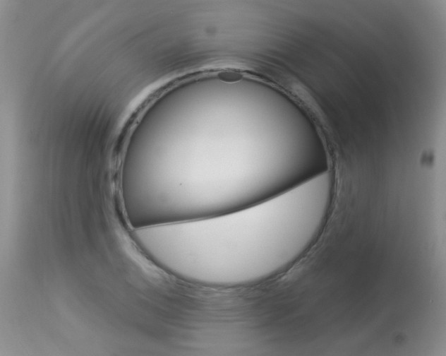 X0000113941124200909250933