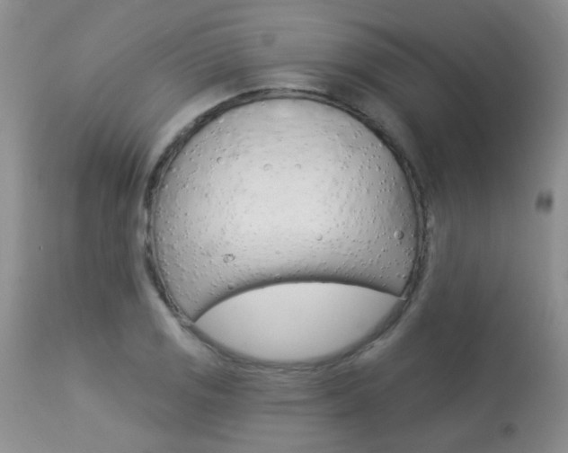 X0000113941125200909250933