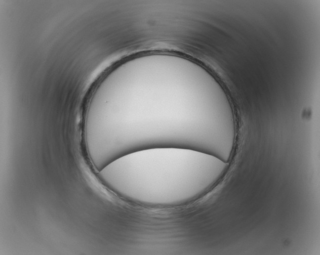 X0000113941126200909250933