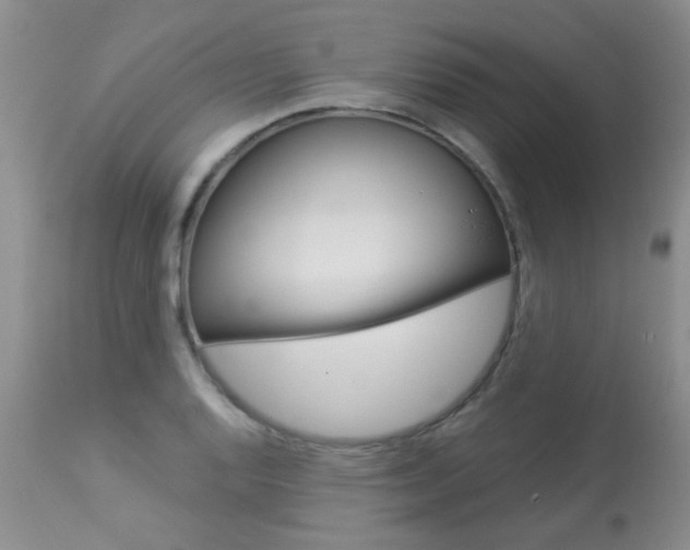 X0000113941128200909250933