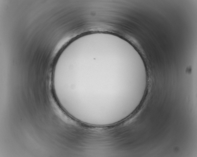 X0000113941130200909250933