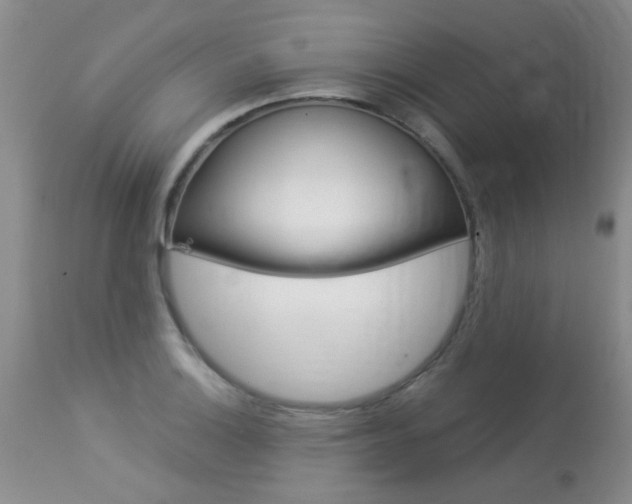 X0000113941132200909250933