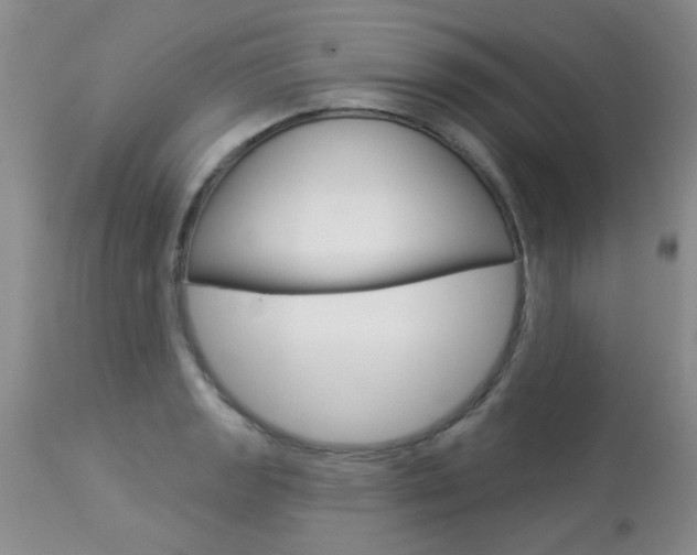 X0000113941133200909250933