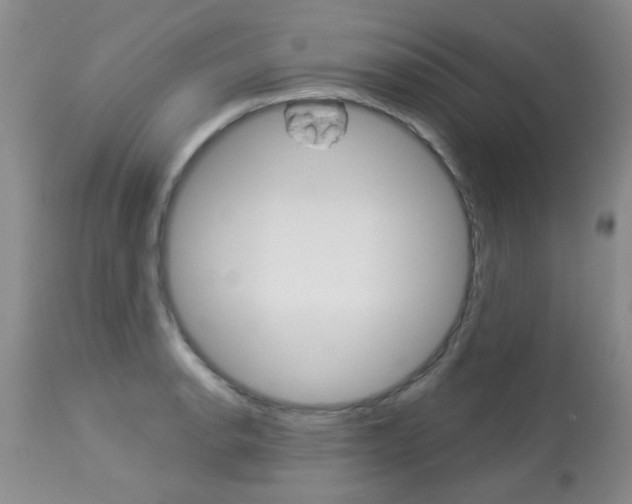 X0000113941134200909250933
