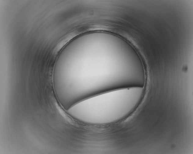 X0000113941137200909250933