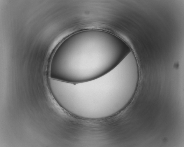 X0000113941138200909250933