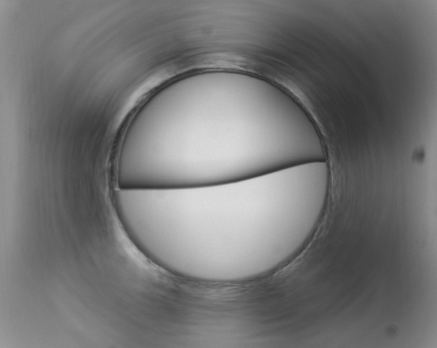 X0000113941139200909250933
