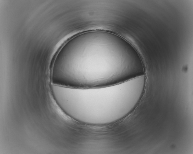 X0000113941140200909250933
