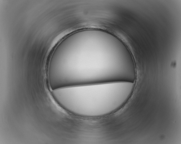X0000113941141200909250933