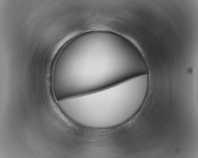 X0000113941142200909250933