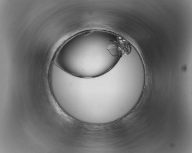 X0000113941144200909250933